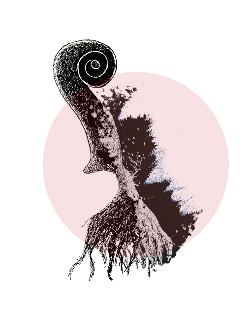 Fundmentals of Music logo